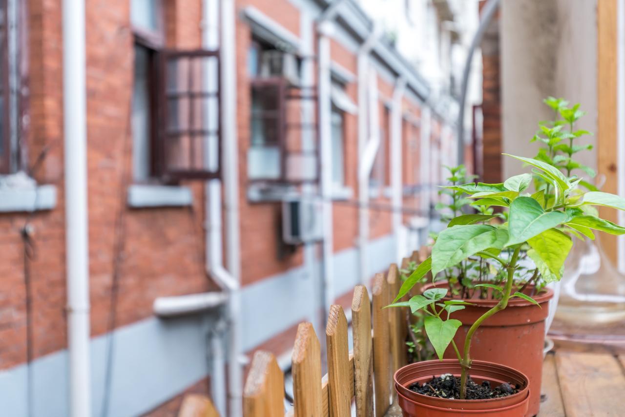 Cozy Apartment Best Location 302 شانغهاي المظهر الخارجي الصورة